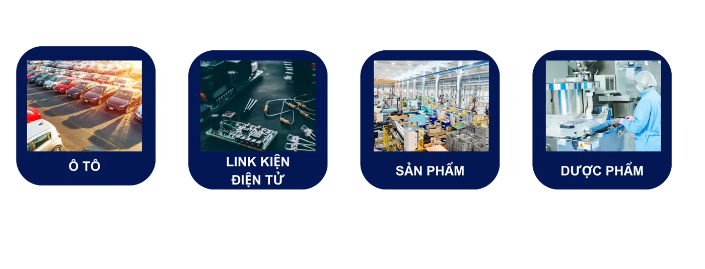 Hệ thống Máy gắp và Phân loại tự động