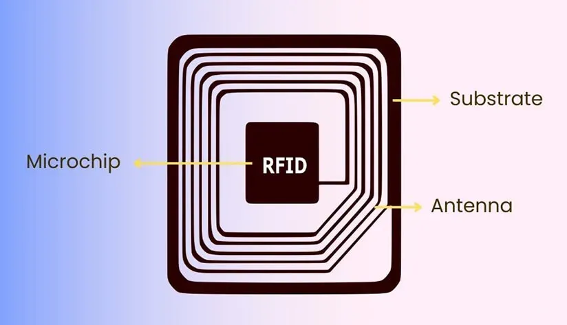 RFID Tag Materials Explained: A Complete Guide to Key Components and Innovations - RFID Label
